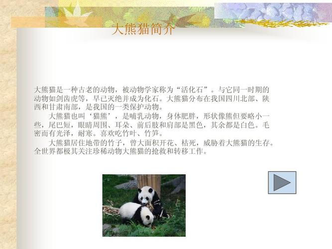 大熊猫的资料介绍