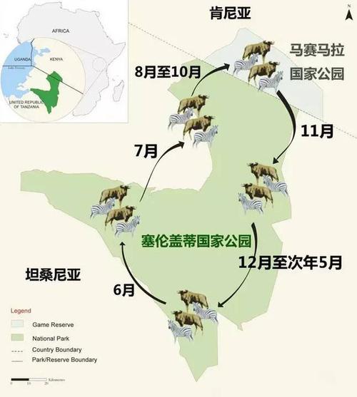 非洲动物迁徙时间