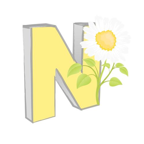 n在化学代表什么