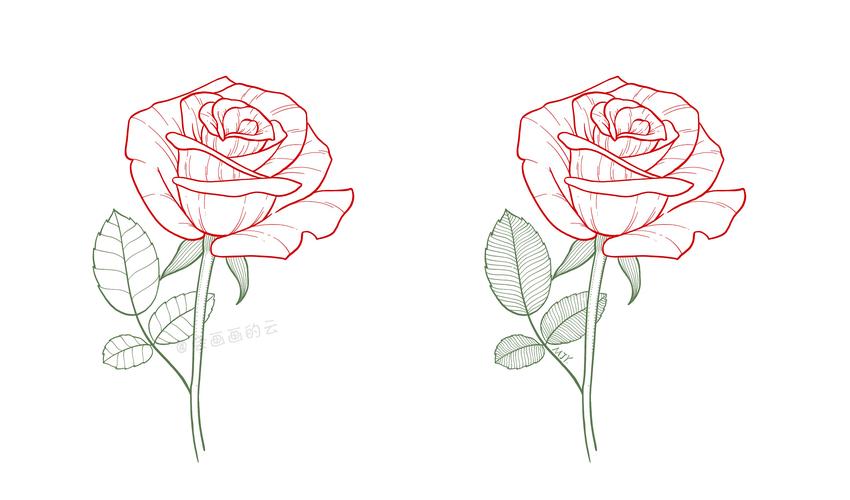 怎样画一朵简单玫瑰花