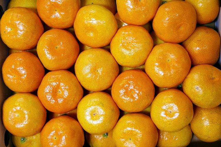 催熟橘子和自然成熟的橘子区别