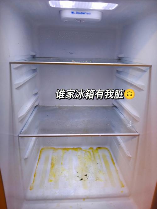 冰箱顶部散发臭味 是哪几种情况 没有腐烂的东西（冰箱背面发出恶臭味是怎么回事啊）