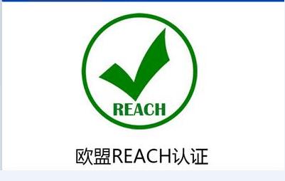 reach是什么意思中文