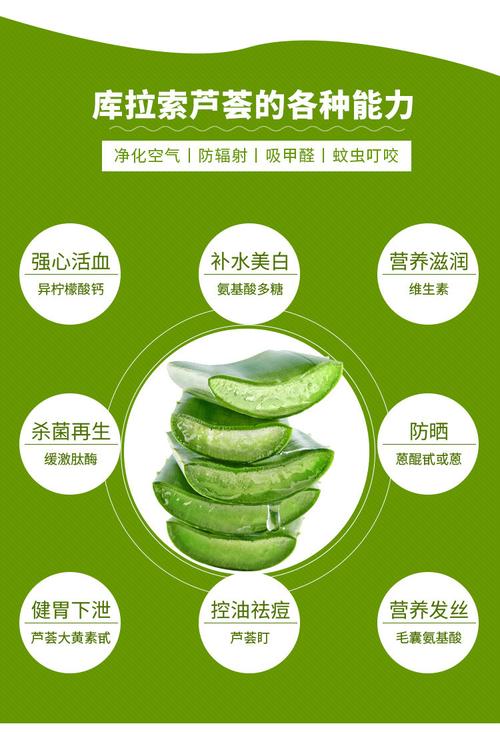 库拉索芦荟有几种吃法