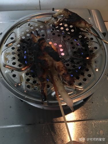 天然气点的火可以直接烤东西吃么（可以在液化气上直接烤东西吃吗）