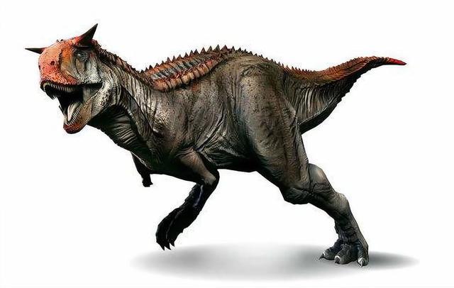 白垩纪十大最高恐龙