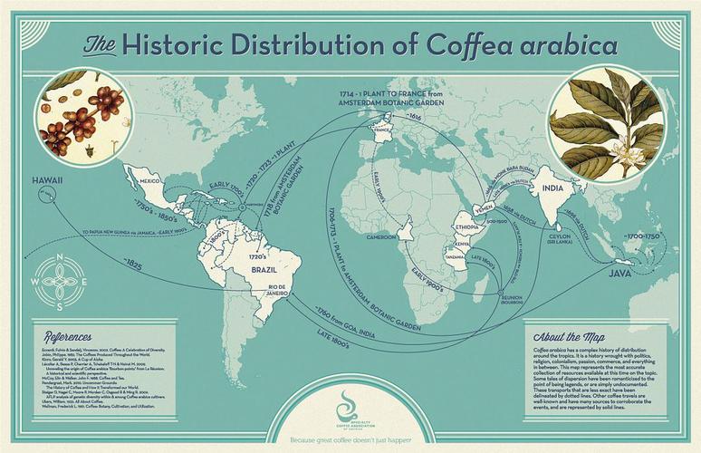 咖啡的起源和发展史
