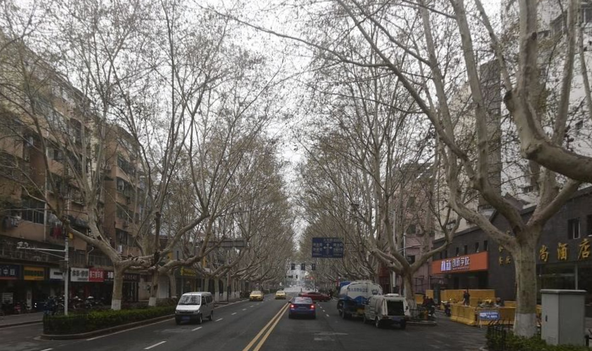 南京市中山南路是哪个街道
