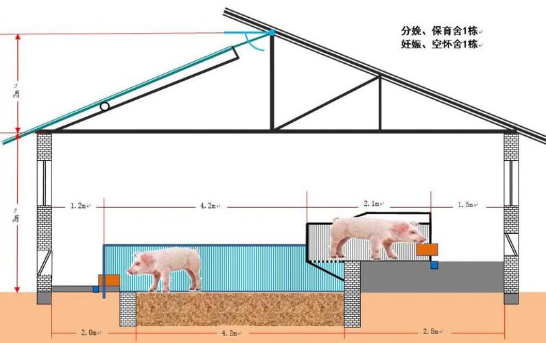 猪舍有几种建法 怎么建