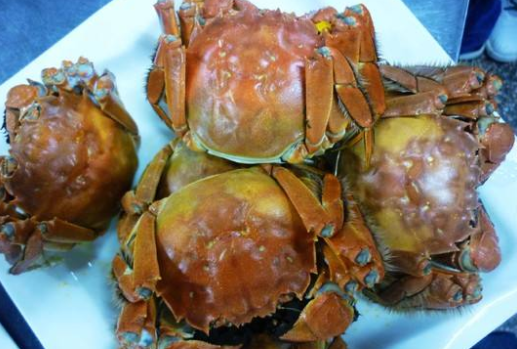 螃蟹冻一天还能吃吗（螃蟹冻了半年以上还能吃吗）