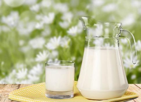 纯牛奶和全脂牛奶有什么区别