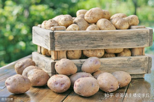 土豆是什么意思
