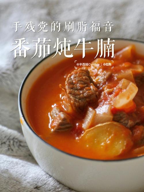 西红柿炖牛肉汤最好喝的做法
