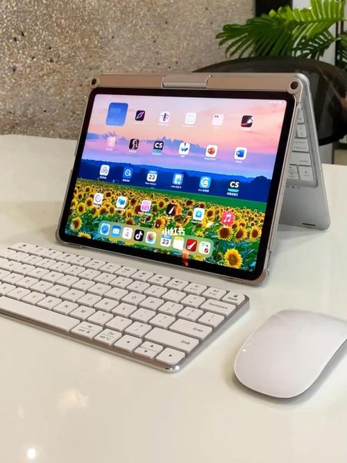 iPad能接电脑鼠标吗（ipad能连接笔记本和鼠标么）