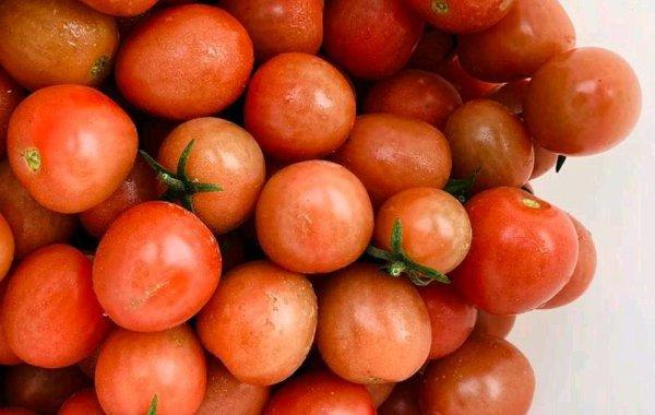 一亩西红柿产量是多少斤