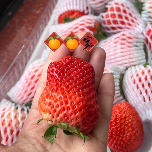 99丹东草莓一斤大概多少个