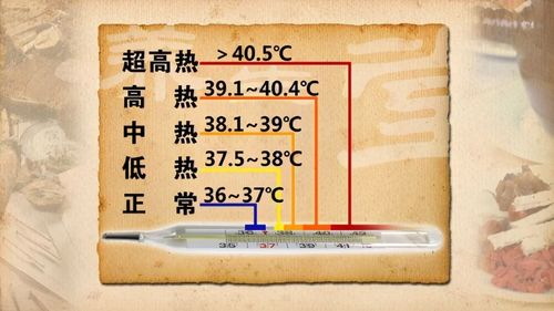人体体温正常是多少（人体体温35.5度算正常吗）