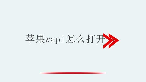 苹果手机启用wap1是什么意思