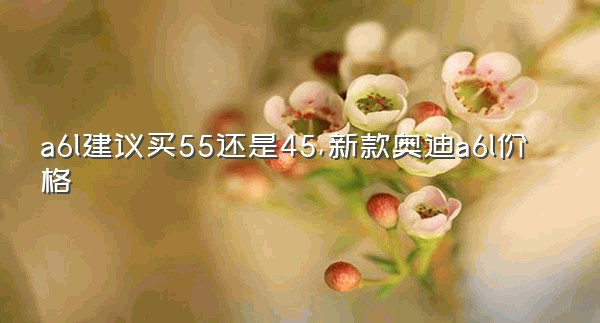 a6l建议买55还是45,新款奥迪a6l价格