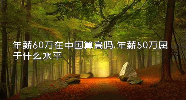 年薪60万在中国算高吗,年薪50万属于什么水平