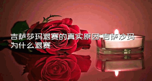 吉萨莎玛退赛的真实原因,吉萨沙玛为什么退赛