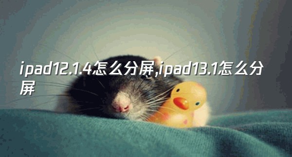 ipad12.1.4怎么分屏,ipad13.1怎么分屏