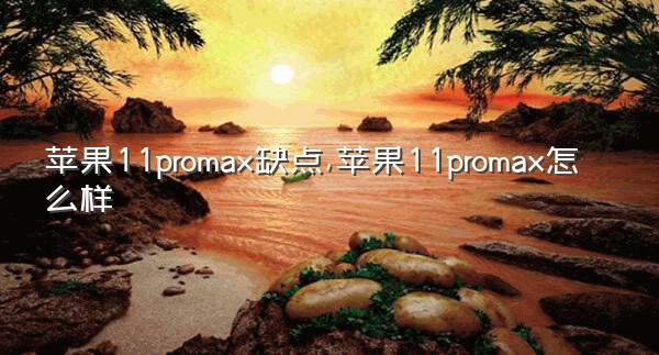 苹果11promax缺点,苹果11promax怎么样