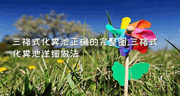 三格式化粪池正确的完整图,三格式化粪池详细做法