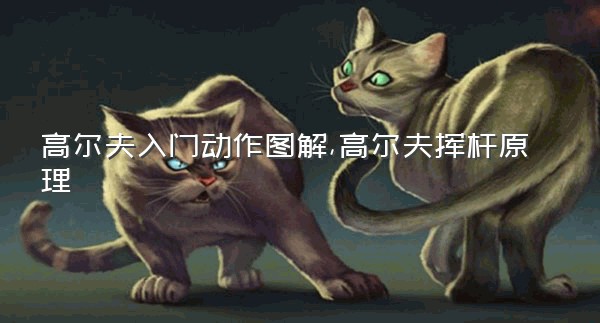 高尔夫入门动作图解,高尔夫挥杆原理