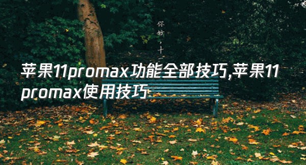 苹果11promax功能全部技巧,苹果11promax使用技巧