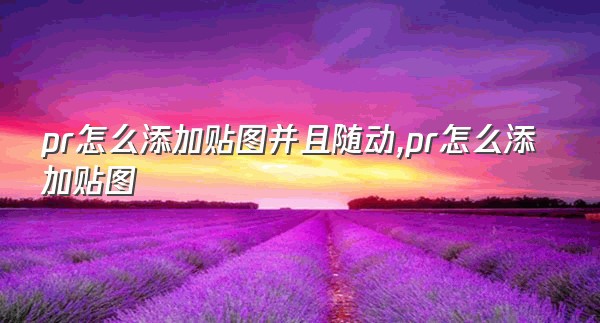 pr怎么添加贴图并且随动,pr怎么添加贴图