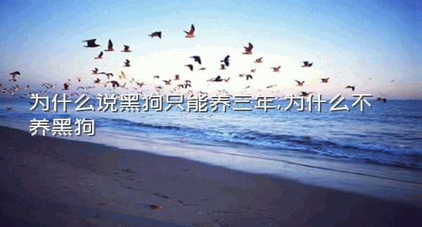 为什么说黑狗只能养三年,为什么不养黑狗