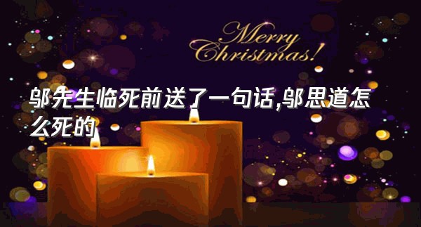 邬先生临死前送了一句话,邬思道怎么死的