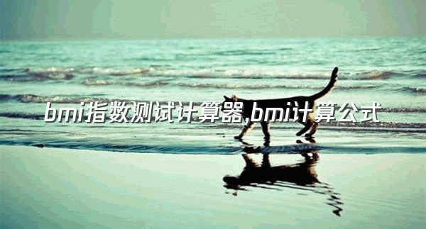 bmi指数测试计算器,bmi计算公式