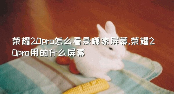 荣耀20pro怎么看是哪家屏幕,荣耀20pro用的什么屏幕