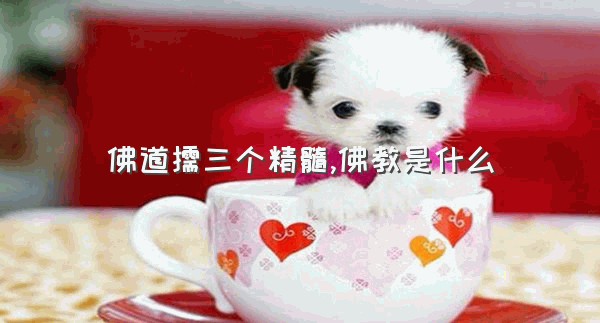 佛道儒三个精髓,佛教是什么