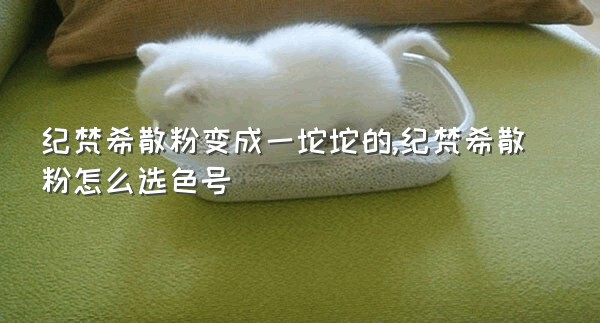 纪梵希散粉变成一坨坨的,纪梵希散粉怎么选色号