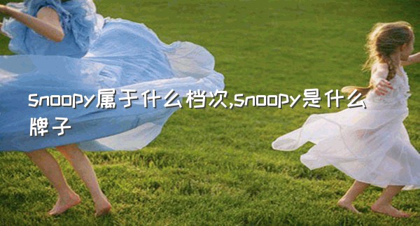 snoopy属于什么档次,snoopy是什么牌子