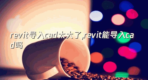 revit导入cad太大了,revit能导入cad吗