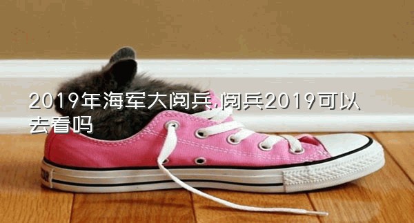 2019年海军大阅兵,阅兵2019可以去看吗