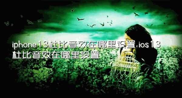 iphone13杜比音效在哪里设置,ios13杜比音效在哪里设置