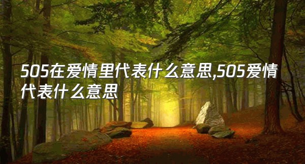 505在爱情里代表什么意思,505爱情代表什么意思