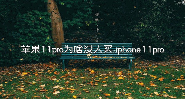 苹果11pro为啥没人买,iphone11pro