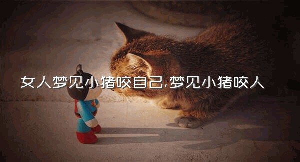 女人梦见小猪咬自己,梦见小猪咬人