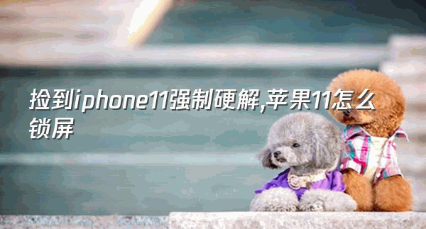 捡到iphone11强制硬解,苹果11怎么锁屏