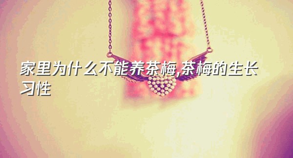 家里为什么不能养茶梅,茶梅的生长习性