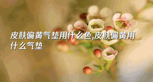 皮肤偏黄气垫用什么色,皮肤偏黄用什么气垫