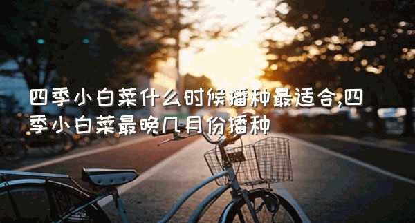 四季小白菜什么时候播种最适合,四季小白菜最晚几月份播种