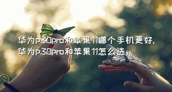 华为p30pro和苹果11哪个手机更好,华为p30pro和苹果11怎么选