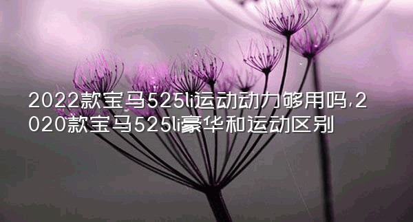 2022款宝马525li运动动力够用吗,2020款宝马525li豪华和运动区别